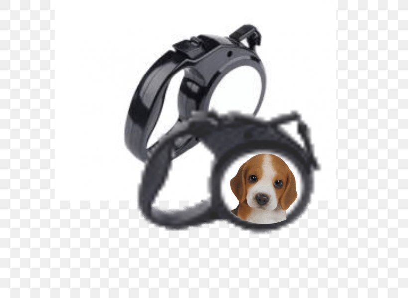 Dog Collar Leash Cat, PNG, 600x600px, Dog, Belt, Cat, Collar, Display Stand Download Free