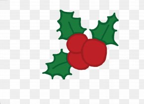 Mistletoe - Holly Aquifoliales Plant Fruit Grape PNG
