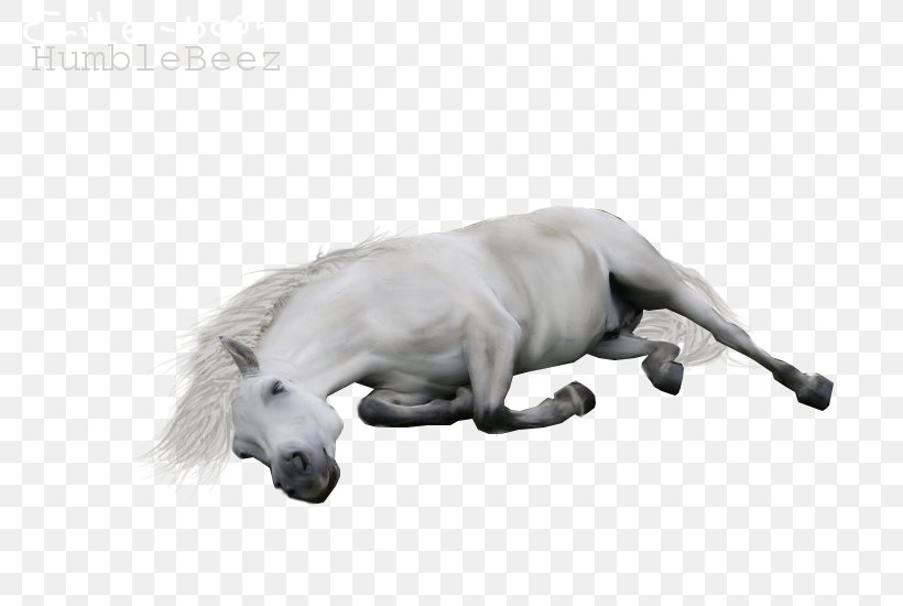 Horse Drawing Dog Breed, PNG, 800x550px, Horse, Black And White, Carnivoran, Dog, Dog Breed Download Free