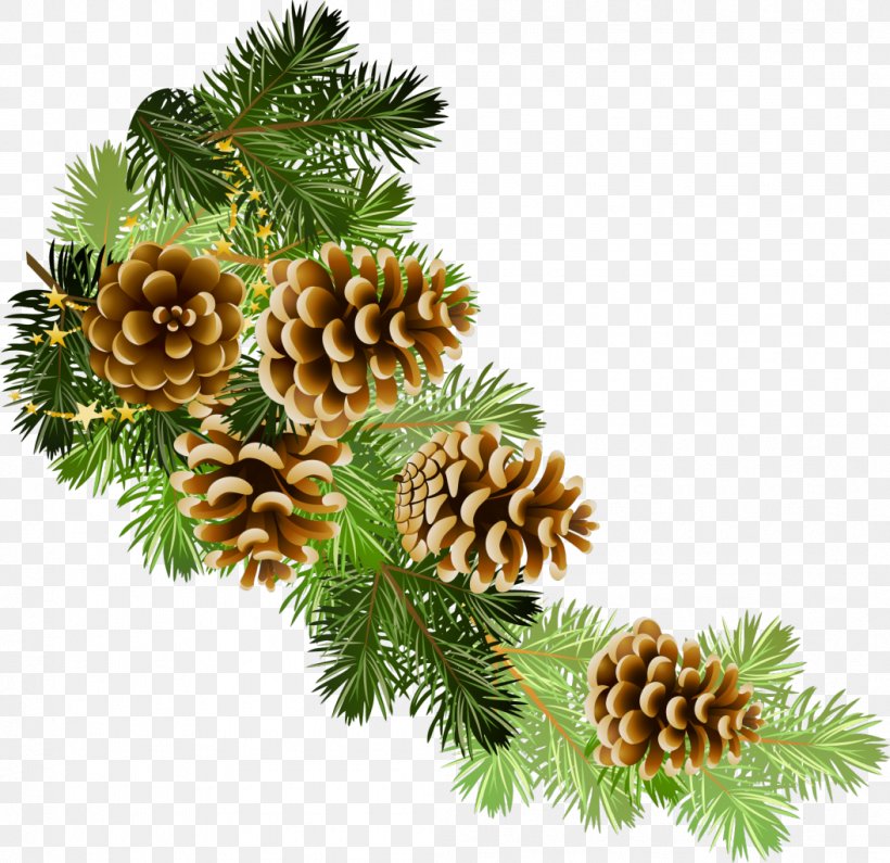 Pine Conifer Cone Fir Christmas Clip Art, PNG, 1055x1024px, Pine, Branch, Christmas, Christmas Decoration, Christmas Ornament Download Free