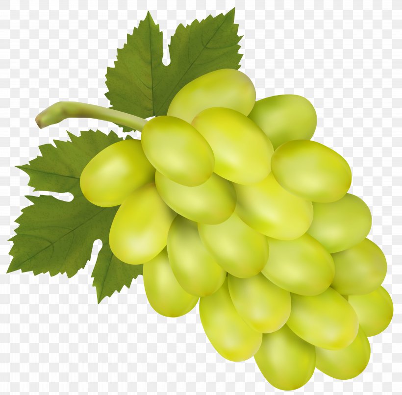 Sultana Grape Rosé Clip Art, PNG, 6000x5902px, White Wine, Common Grape Vine, Concord Grape, Food, Fruit Download Free