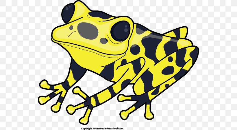 Yellow-banded Poison Dart Frog Green And Black Poison Dart Frog Clip Art, PNG, 559x449px, Frog, Amphibian, Animal, Arrow Poison, Artwork Download Free