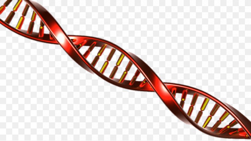 DNA Energy Fys Homologous Recombination Stock Footage, PNG, 852x480px, Dna, Automotive Lighting, Bicycle Part, Eyewear, Footage Download Free