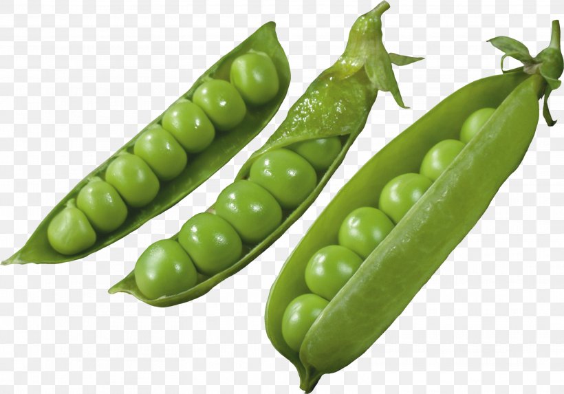 Snap Pea Edamame Vegetarian Cuisine Broad Bean, PNG, 3117x2181px, Pea, Bean, Broad Bean, Commodity, Digital Image Download Free