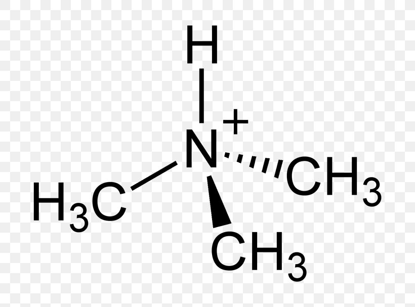 Acetone Trimethylamine Tetramethylammonium Hydroxide Quaternary Ammonium Cation, PNG, 786x607px, Acetone, Ammonium, Area, Black, Black And White Download Free
