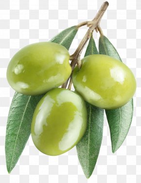 Olive Fruit - Olive Leaf Olive Oil PNG