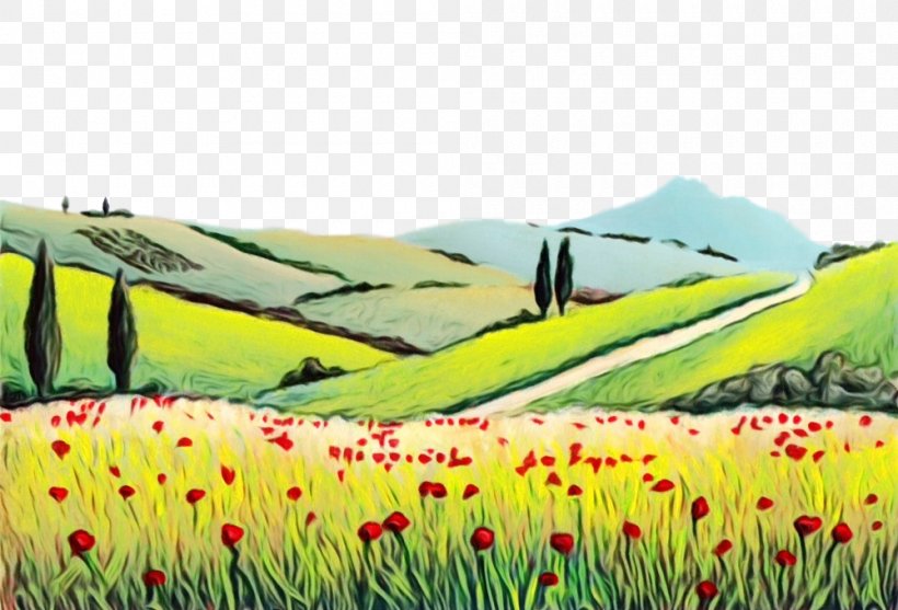 Nature Natural Landscape Grassland Meadow Natural Environment, PNG, 1000x680px, Watercolor, Ecoregion, Flower, Grass Family, Grassland Download Free