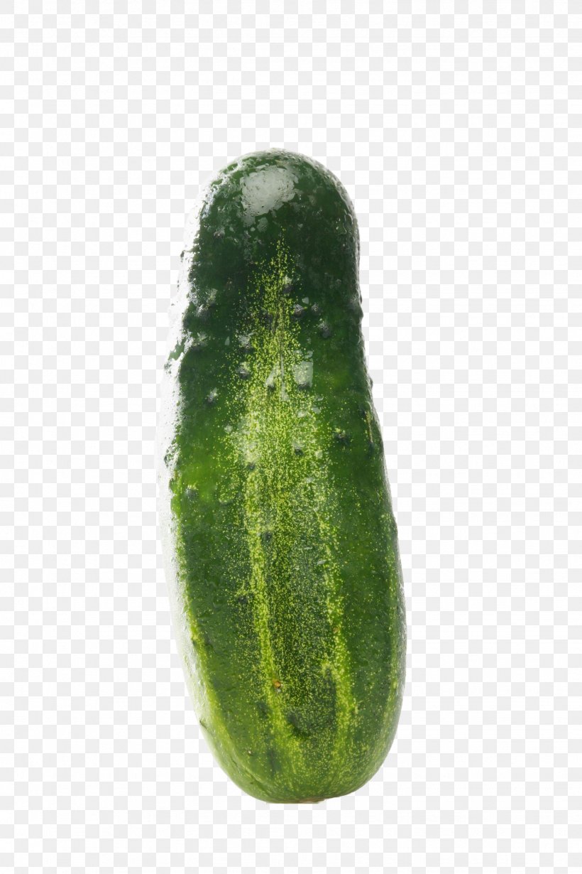 Pickled Cucumber Chat Line Vegetable, PNG, 1541x2312px, Cucumber, Chat Line, Cucumber Gourd And Melon Family, Cucumis, Email Download Free