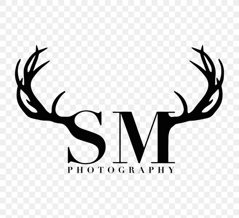 Decal United States Photography Logo, PNG, 750x750px, Decal, Antler, Black And White, Blanket, Brand Download Free