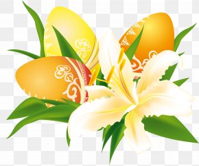 Happy Easter - Easter Bunny Easter Egg Augur PNG