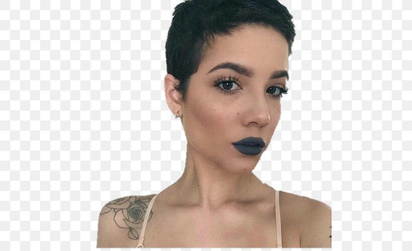 Halsey MAC Cosmetics Lipstick Hairstyle, PNG, 500x500px, Watercolor, Cartoon, Flower, Frame, Heart Download Free