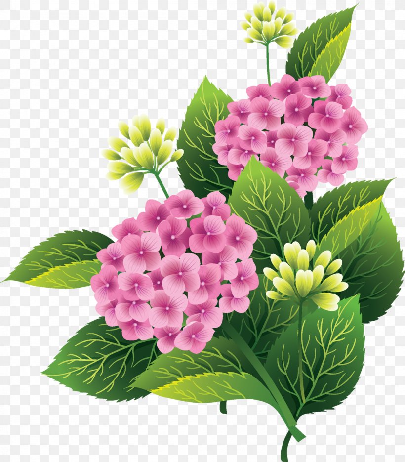 Pink Flowers Silhouette Clip Art, PNG, 1052x1200px, Flower, Cornales, Cut Flowers, Flowering Plant, Herbaceous Plant Download Free