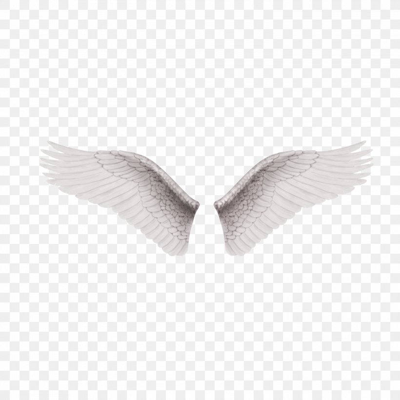 Black And White Wing Clip Art, PNG, 3000x3000px, White, Black And White, Color, Drawing, Feather Download Free