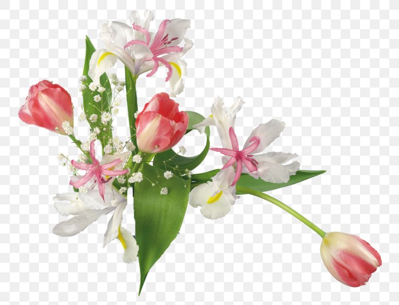 Lily Flower Cartoon, PNG, 800x627px, Tulip, Artificial Flower, Bouquet, Cut Flowers, Floral Design Download Free