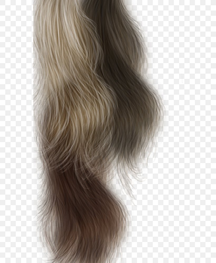 Long Hair Capelli Hairstyle, PNG, 568x1000px, Hair, Beauty, Black Hair, Blond, Brown Download Free