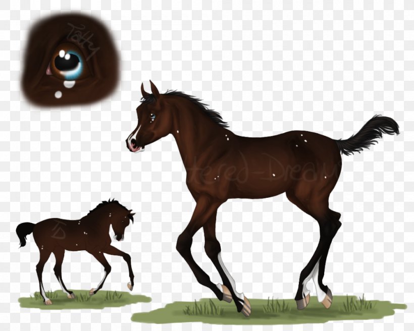 Mustang Foal Stallion Colt Mare, PNG, 1000x800px, Mustang, Animal Figure, Bridle, Colt, Foal Download Free