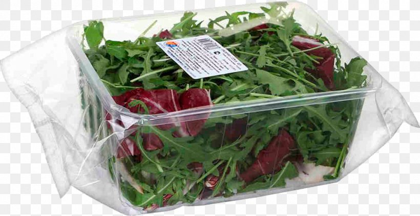 Salad Herb Price Artikel Arugula, PNG, 1000x516px, Salad, Artikel, Arugula, Discounts And Allowances, Flowerpot Download Free