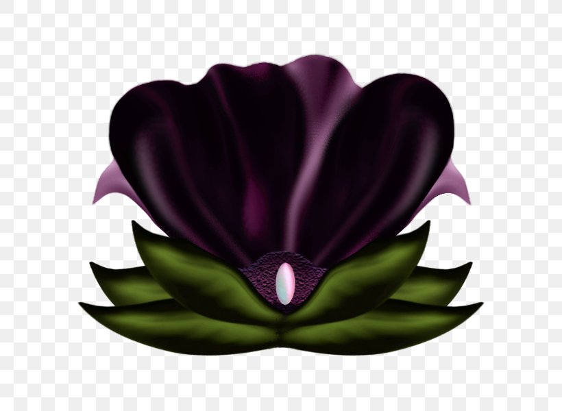 Flowering Plant, PNG, 600x600px, Flowering Plant, Flower, Magenta, Petal, Plant Download Free