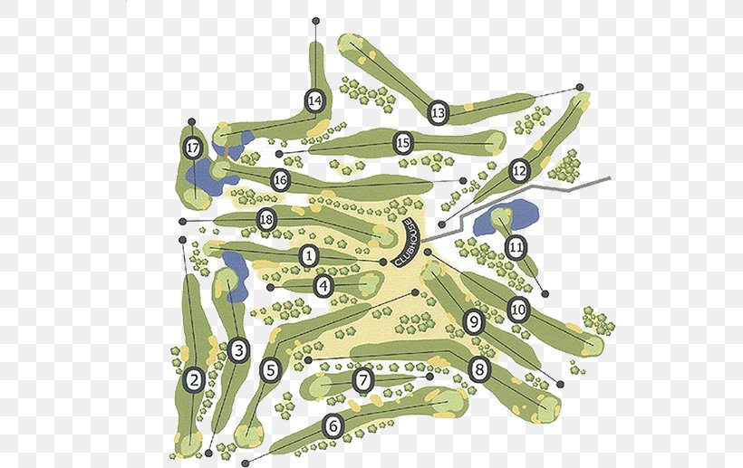 Golf Course Killerig Golf Club Product Killerrig, PNG, 541x517px, Golf, Golf Course, Integral, Map, Organism Download Free