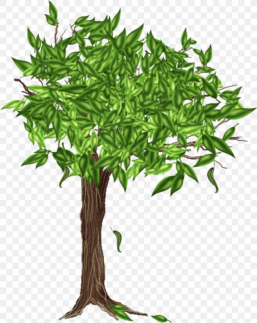 Drawing Tree Image, PNG, 1541x1943px, Drawing, Branch, Child Art, Digital Image, Flowerpot Download Free