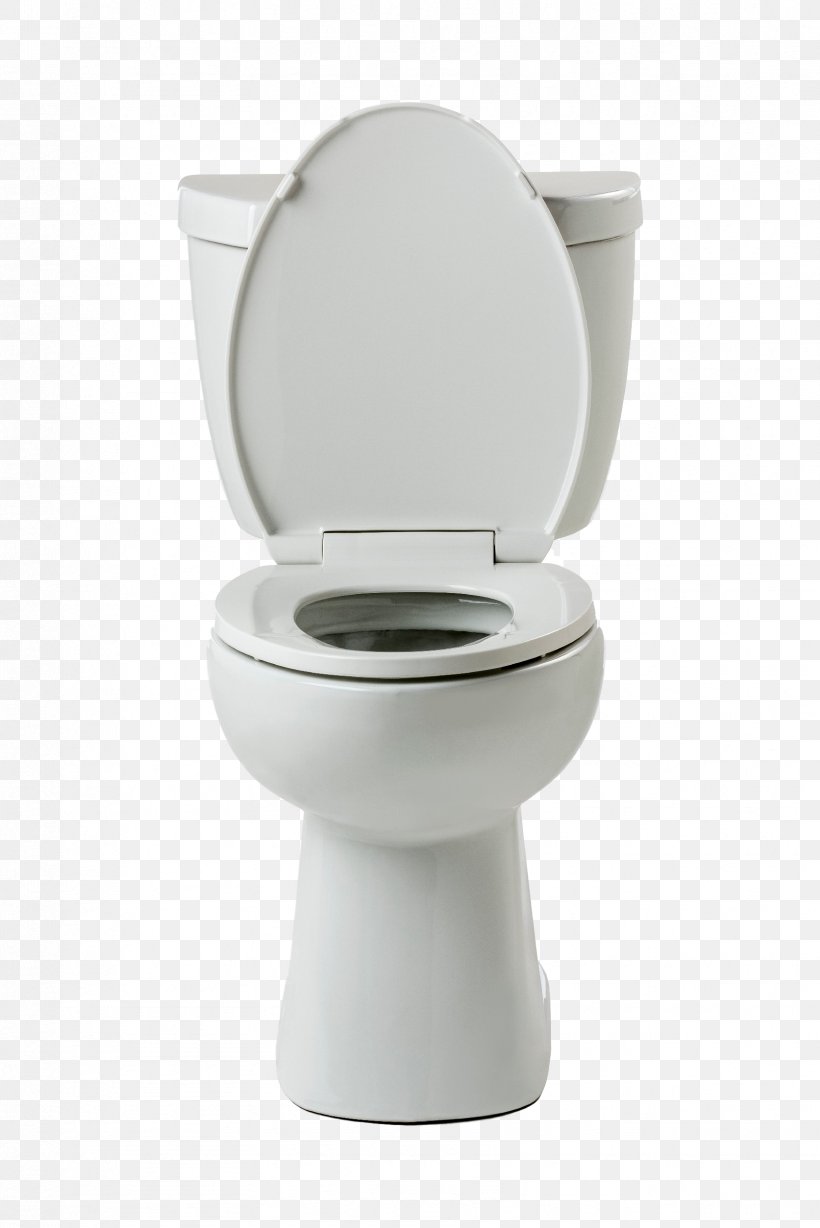 Toilet & Bidet Seats, PNG, 1673x2506px, Toilet Bidet Seats, Plumbing Fixture, Seat, Toilet, Toilet Seat Download Free