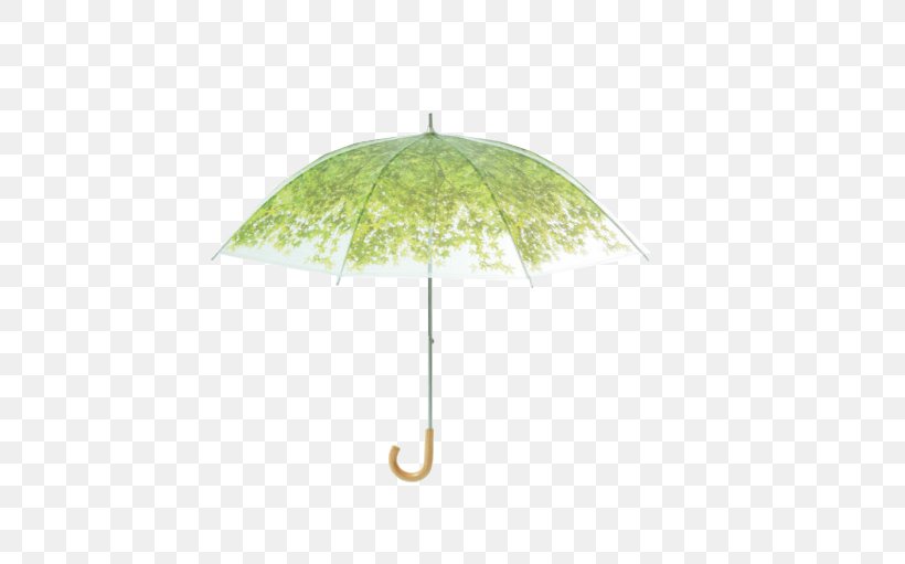 Umbrella Transparency And Translucency Sunlight Green Shade, PNG, 580x511px, Umbrella, Art, Grass, Green, Leaf Download Free