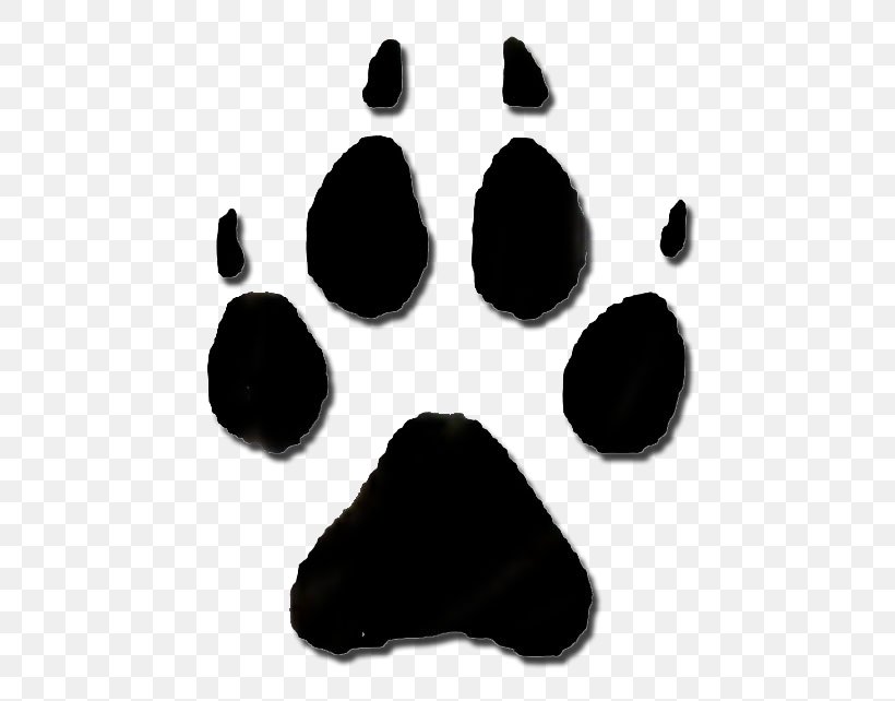 Animal Track Raccoon Footprint Clip Art, PNG, 500x642px, Animal Track, Animal, Bear, Black, Black And Tan Coonhound Download Free