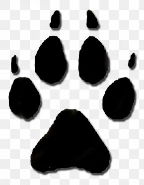 Raccoon - Animal Track Raccoon Footprint Clip Art PNG