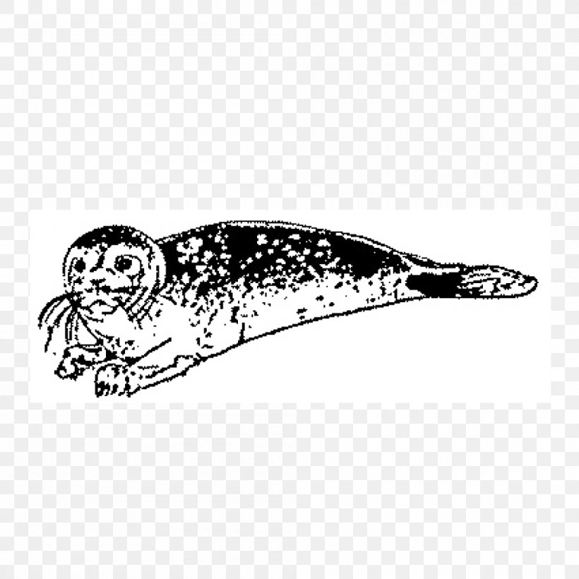 Earless Seal Drawing Marine Mammal Beak, PNG, 1000x1000px, Earless Seal, Beak, Bird, Black, Black And White Download Free