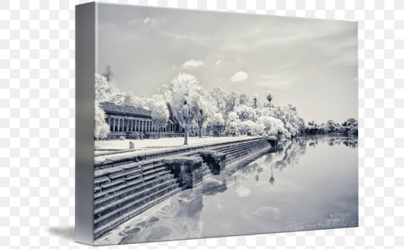 Picture Frames White Sky Plc, PNG, 650x506px, Picture Frames, Black And White, Picture Frame, Sky, Sky Plc Download Free