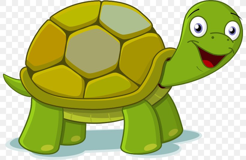Turtle Free Content Clip Art, PNG, 800x534px, Turtle, Blog, Cartoon, Cuteness, Free Content Download Free