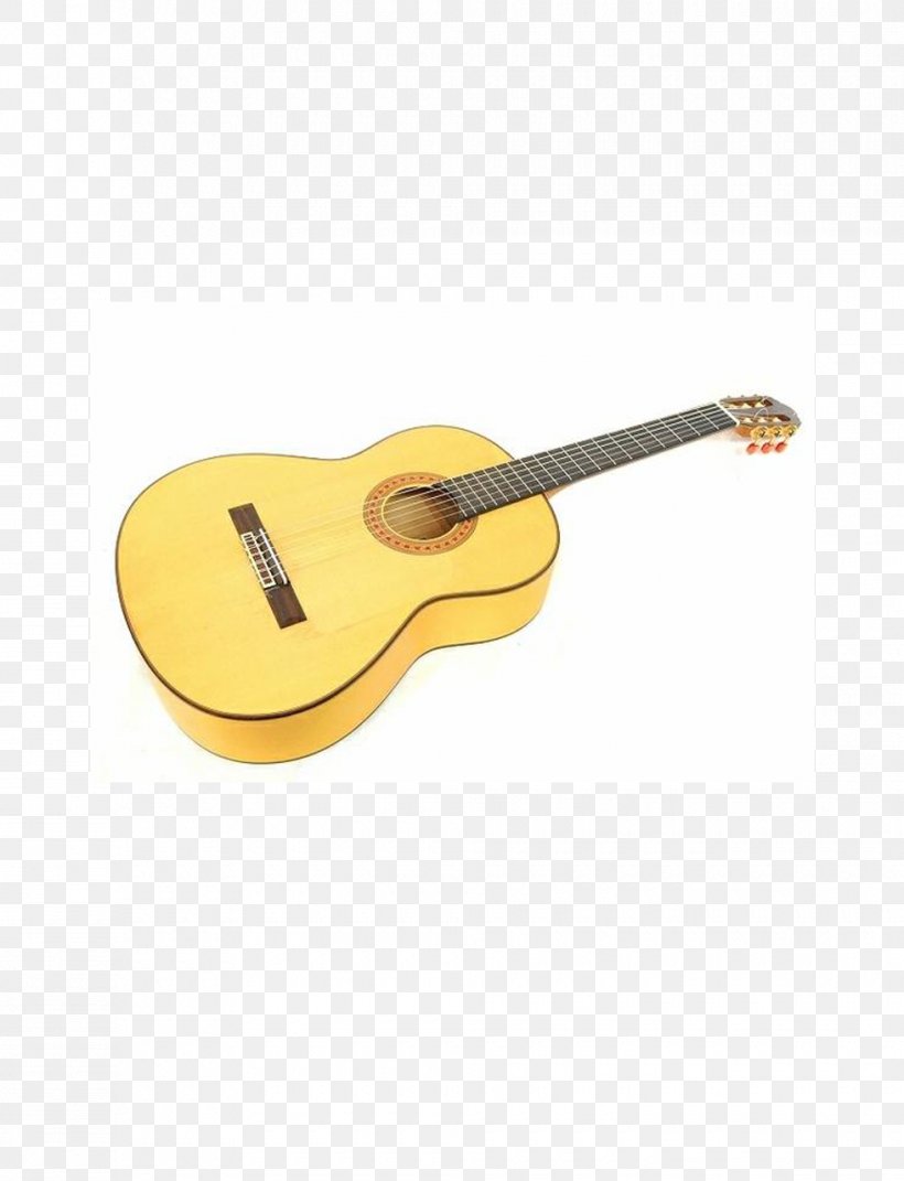 Acoustic Guitar Acoustic-electric Guitar Tiple Cavaquinho Cuatro, PNG, 980x1280px, Watercolor, Cartoon, Flower, Frame, Heart Download Free