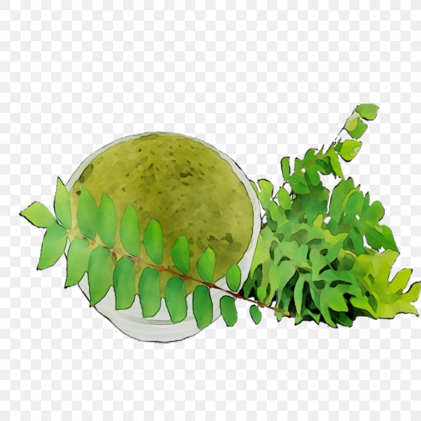 Greens Fruit, PNG, 1089x1089px, Greens, Fruit, Grass, Green, Leaf Download Free