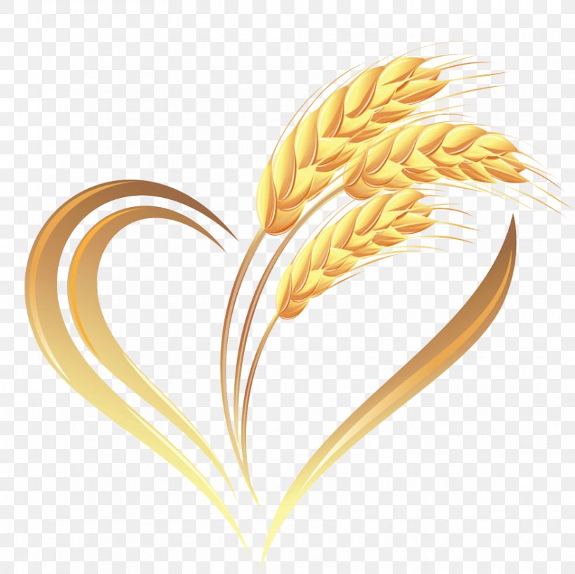 Wheat Heart Cereal, PNG, 881x879px, Common Wheat, Cereal, Commodity, Ear, Grass Family Download Free