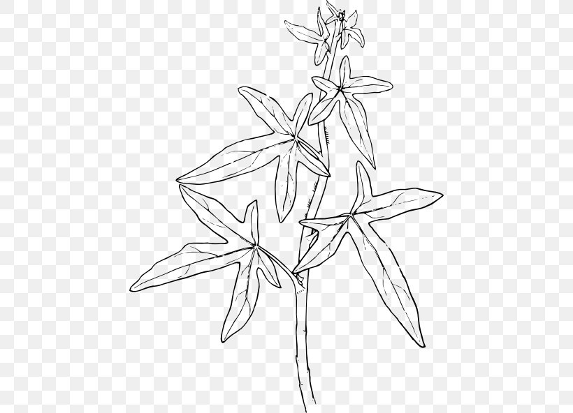 Clip Art Plants Ivy Vector Graphics Drawing, PNG, 450x592px, Plants, Artwork, Black And White, Branch, Drawing Download Free