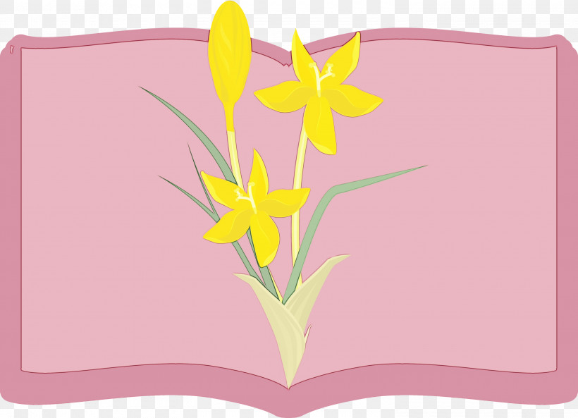 Flower Rectangle Font Petal Pink M, PNG, 3000x2170px, Flower Frame, Biology, Book Frame, Flower, Geometry Download Free