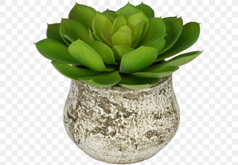 Flowerpot Succulent Plant Echeveria, PNG, 600x571px, Flower, Artificial Flower, Cactaceae, Ceramic, Decorative Arts Download Free