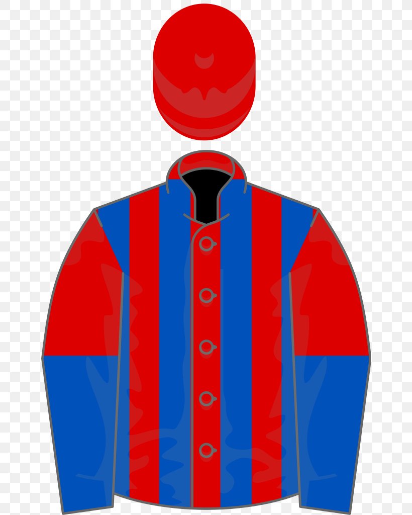 Horse Racing Betfair Chase Clip Art, PNG, 656x1024px, Horse, Betfair Chase, Blue, Cheltenham Gold Cup, Colin Tizzard Download Free