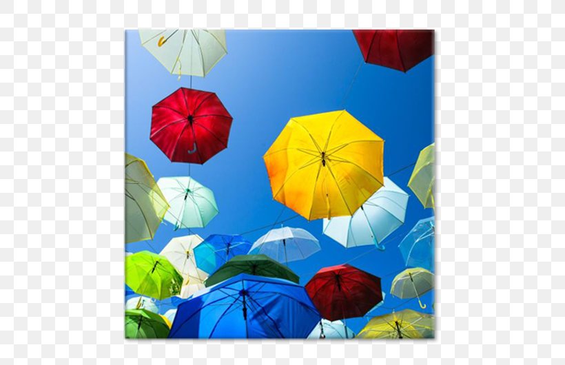 Petal The Poppy Family Umbrella Microsoft Azure, PNG, 750x530px, Petal, Flower, Flowering Plant, Microsoft Azure, Poppy Family Download Free