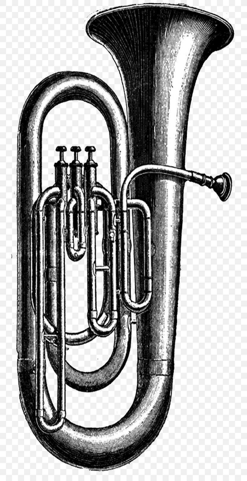 Tuba Musical Instruments Sousaphone Clip Art, PNG, 767x1600px, Watercolor, Cartoon, Flower, Frame, Heart Download Free