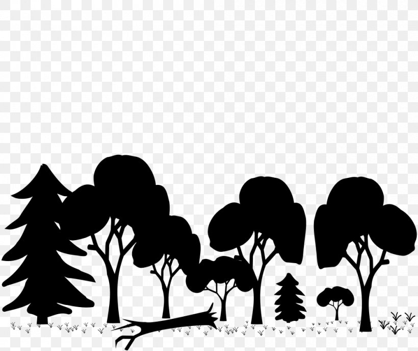 Woodland Temperate Broadleaf And Mixed Forest Tree Clip Art, PNG, 1000x839px, Woodland, Black, Black And White, Branch, Flower Download Free