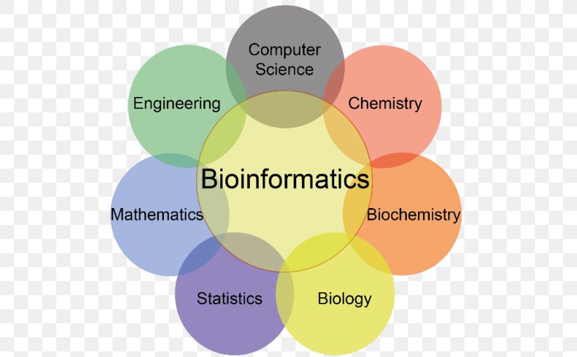 Bioinformatics Computer Science Computational Biology, PNG, 531x508px, Bioinformatics, Biology, Biotechnology, Brand, Communication Download Free