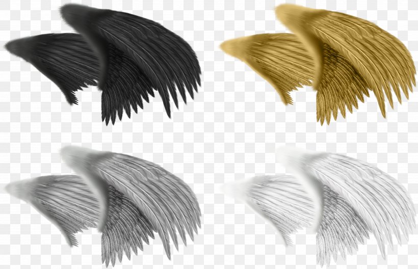 Drawing Animation Feather, PNG, 3553x2292px, Wing, Animation, Cartoon, Drawing, Feather Download Free