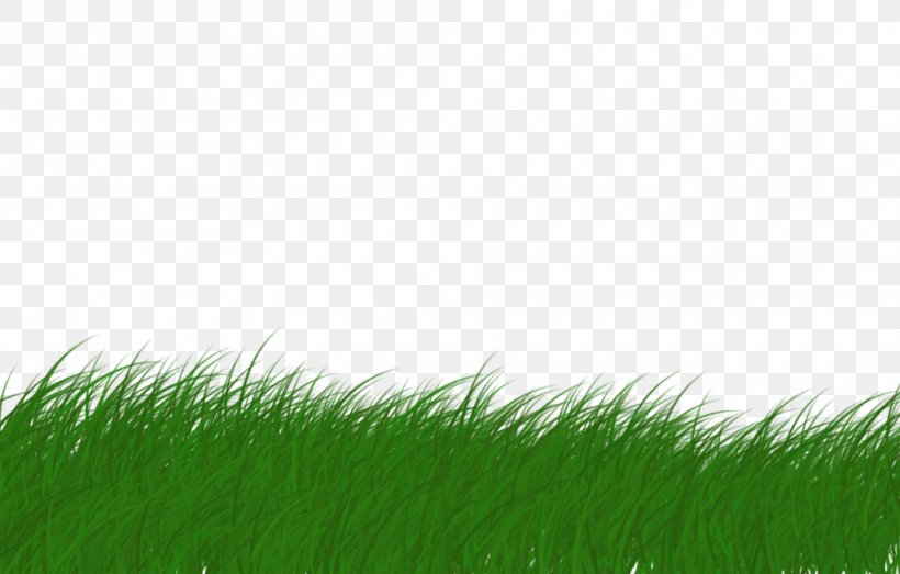 Lawn Animaatio, PNG, 1000x639px, Lawn, Anima, Animaatio, Cartoon, Computer Download Free