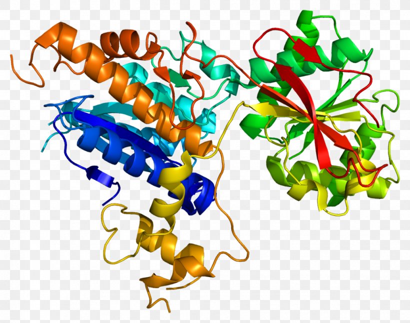 Metabotropic Glutamate Receptor 7 Metabotropic Receptor, PNG, 1034x815px, Metabotropic Glutamate Receptor 7, Agonist, Dopamine Receptor D1, Gene, Glutamate Download Free
