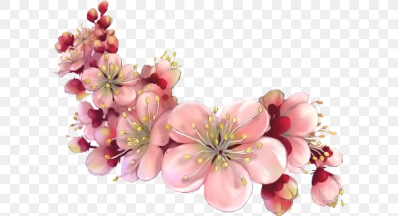 Saturday Morning, PNG, 600x446px, Saturday, Blossom, Branch, Cherry Blossom, Cut Flowers Download Free