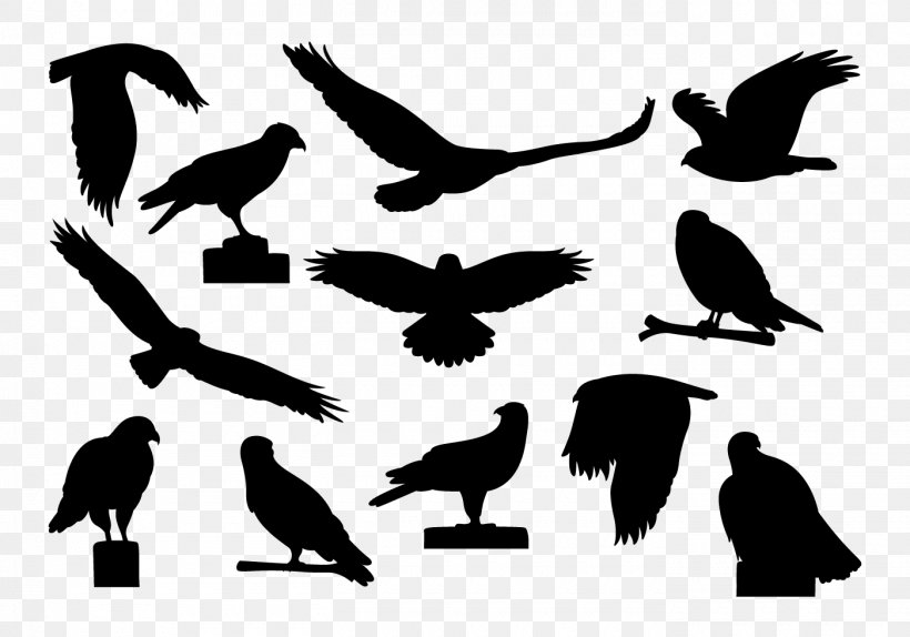 Silhouette Eagle Buzzard, PNG, 1400x980px, Silhouette, Art, Beak, Bird, Bird Of Prey Download Free