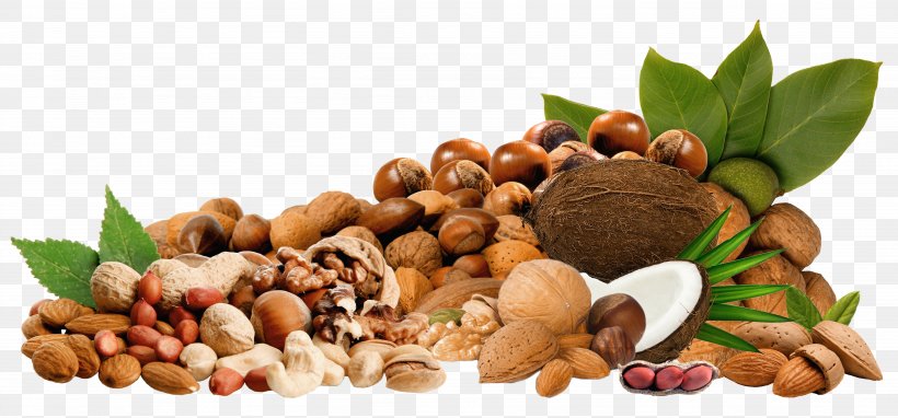 Tree Nut Allergy Almond Clip Art, PNG, 4508x2103px, Nut, Acorn, Almond, Dried Fruit, Food Download Free
