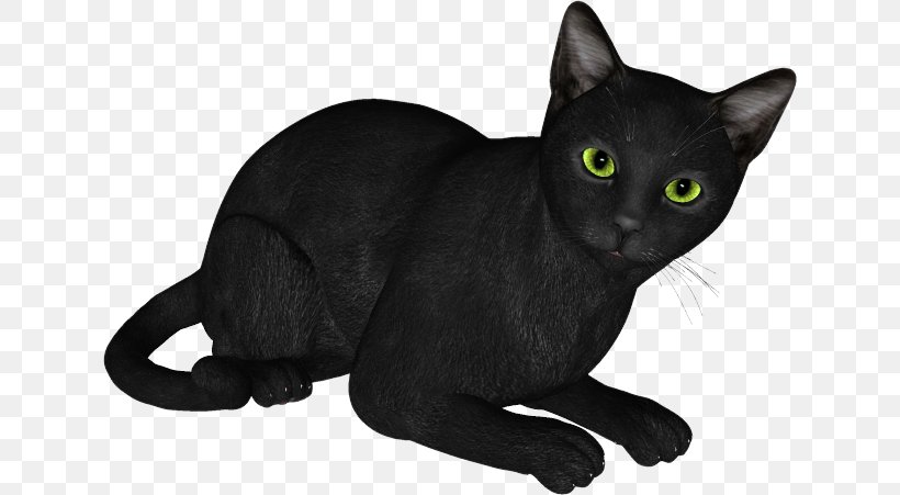 Black Cat Bombay Cat Russian Blue Korat Domestic Short-haired Cat, PNG, 632x451px, 3d Computer Graphics, Black Cat, Animaatio, Asian, Black Download Free