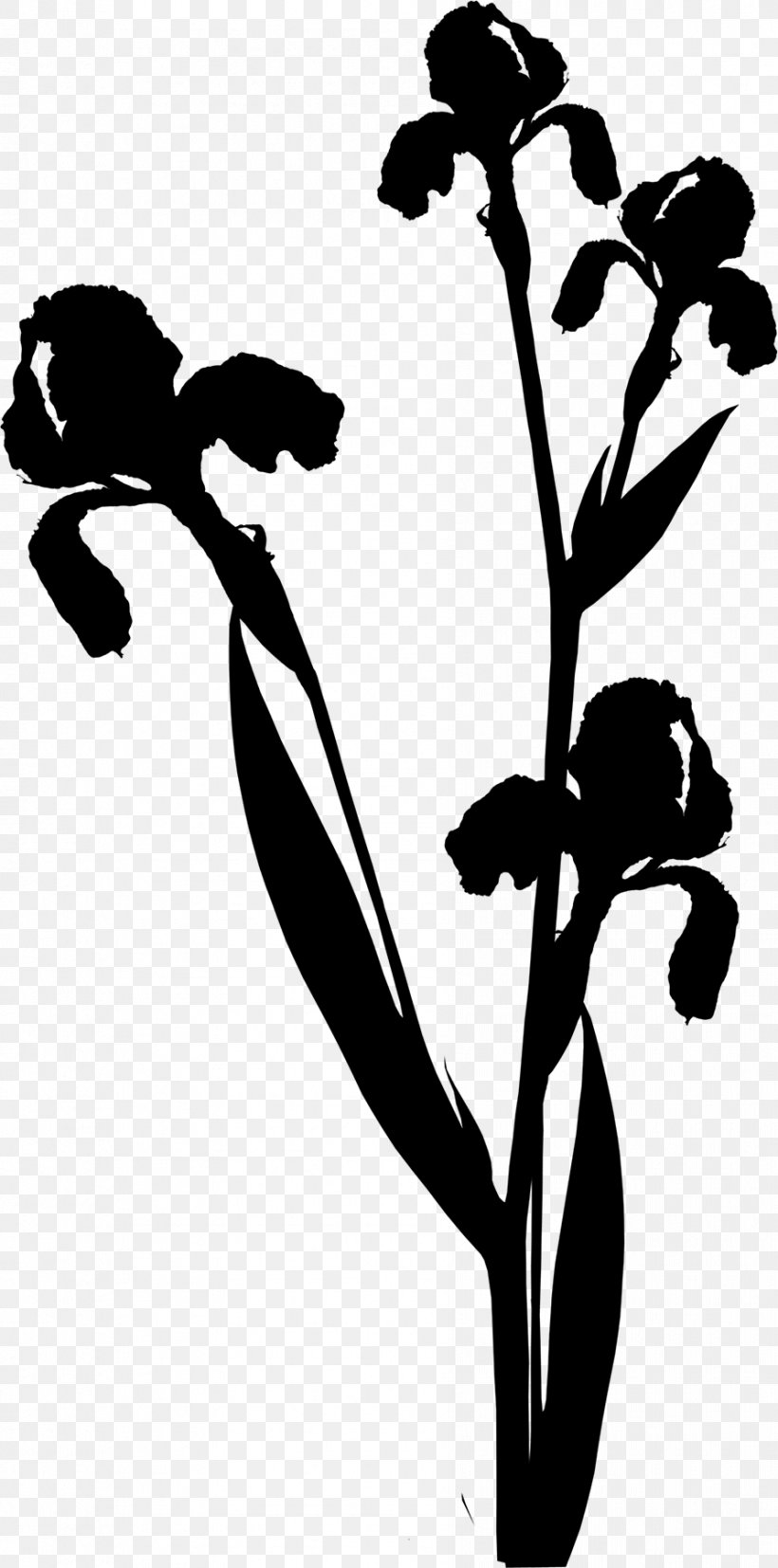 Clip Art Black & White, PNG, 892x1800px, Black White M, Blackandwhite, Botany, Branching, Flower Download Free